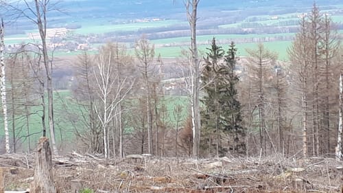 Sornßiger Berg und Hochstein