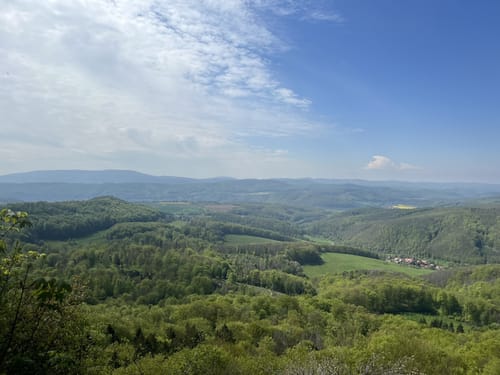 Asbach-Sickenberg P16 (Premiumwanderweg)