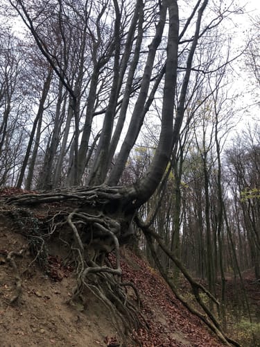 Longinusturm Rundweg A3