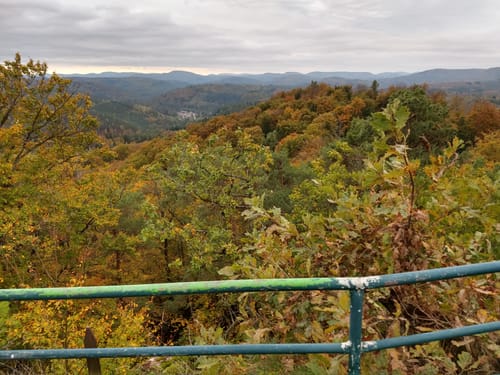 Münchweiler an der Rodalb Höhenwanderweg