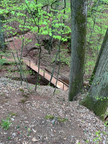 Mühlenbach-Schluchten-Tour (Traumschleife)
