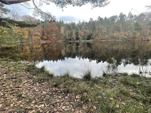 Primmtal Wanderweg Nr. 2