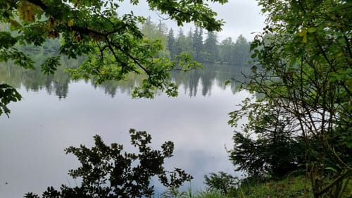 Runde Langenweißbach