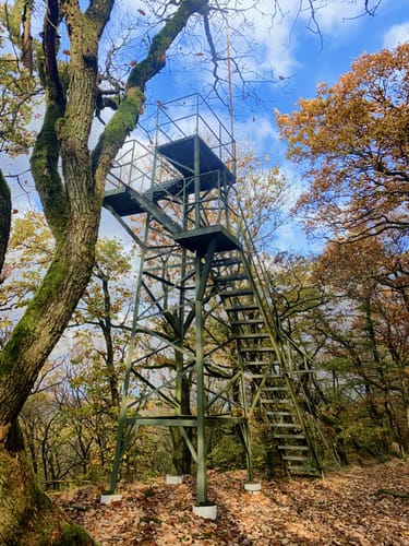 Bad Endbacher Wandermarathon