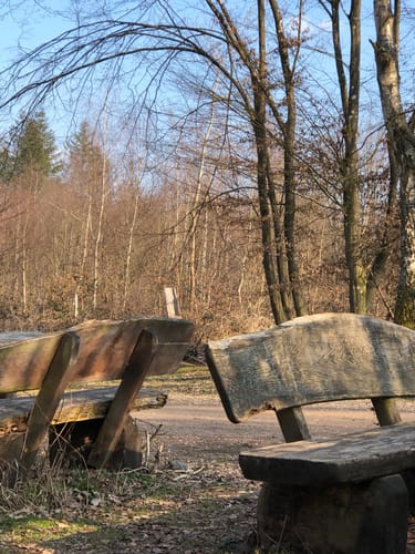 Roisdorf- Buschhoven