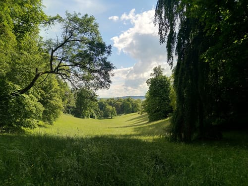 Durch den Hofgarten zur Coburger Veste