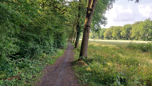 Rundweg ab Altenberge