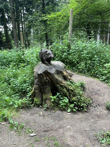Wasser-, Wald- und Wiesenpfad (Premiumwanderweg)