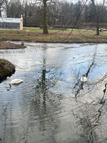 Um den Branitzer Park