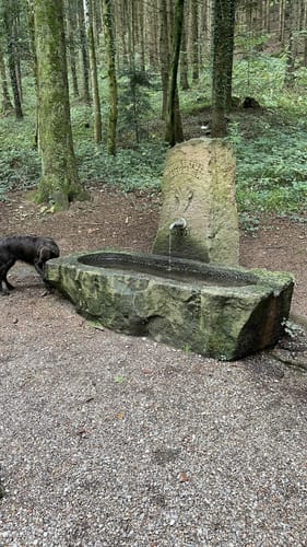 Kenzingen - Lahr