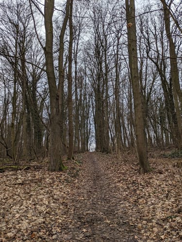 Besinnungspfad Bad Rappenau