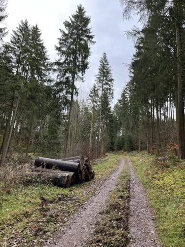 Olef nach Golbach über Broich