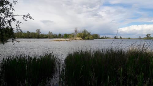Rund um die Haselbacher Teiche