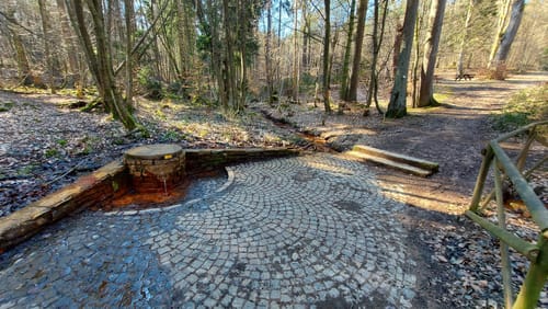 Von Kirsch zum Longuicher Wald