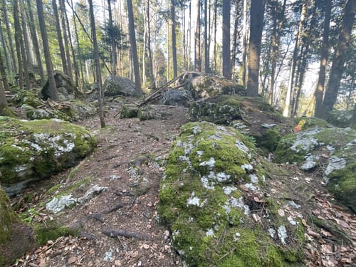 Felsenmeer und Hörnle