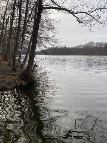 Dahlewitzer Heide