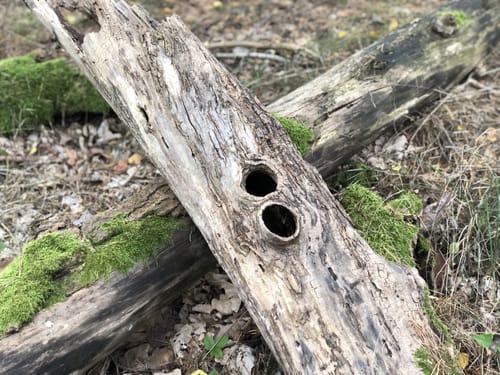 Historische Wanderung Walpersberg - Rüstungswerk REIMAHG