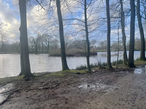 Schlosspark und Schloss Rastede