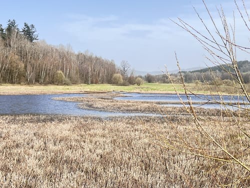 Goldsteig-Runde Nr. 10 Waldmünchen