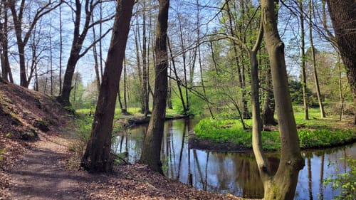 Hermannsburg - Soltau - Bispingen (MTB)