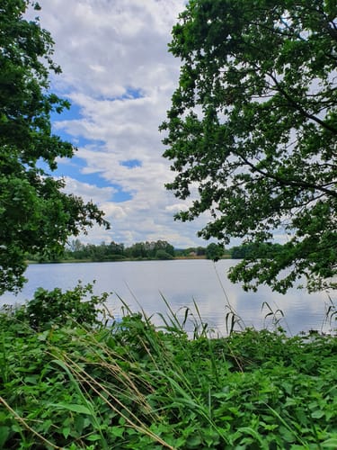 Briesing: Teich-Runde