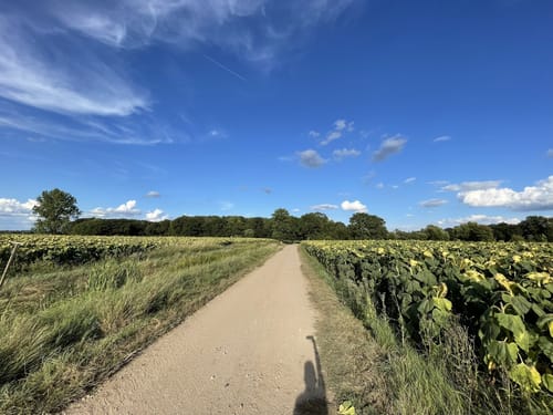Ökumenischer Pilgerweg Etappe 12: Kleinliebenau - Merseburg