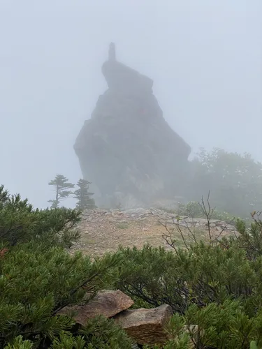 金峰山小屋- hikes and trails to get you there | AllTrails