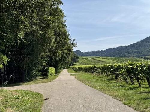 Durch den Talebuckel