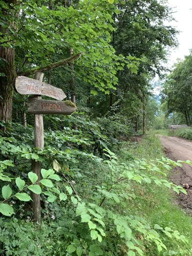 Auf dem Kaiserweg: Pferdchen - Helenenruh - Bremer Klippen