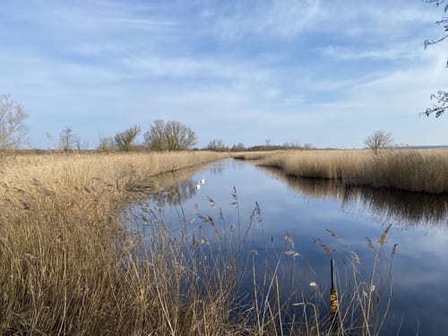 Markgrafenheide - Heiligensee und Hütelmoor
