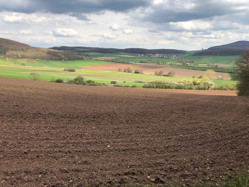 Burgruine Landeck ab Oberlengsfeld
