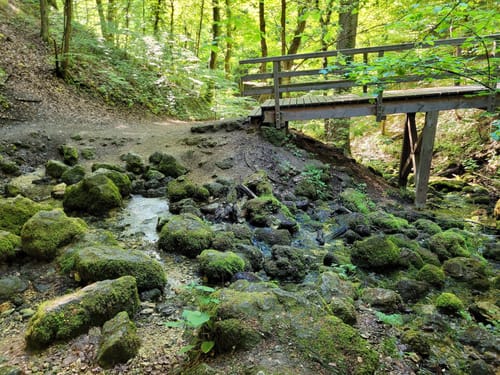Albsteig (HW1) Etappe 3: Mönchsdeggingen - Bopfingen