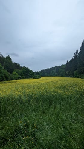 Altmühltal-Panoramaweg Etappe 7: Dollnstein - Eichstätt