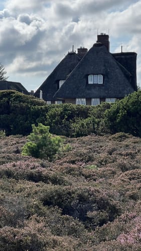 Durch die Braderuper Heide