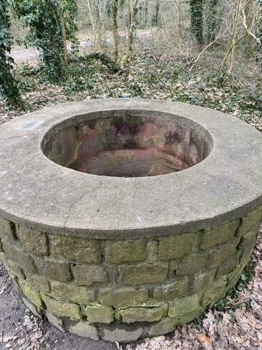 Dossenwald Rundweg Nr. 7