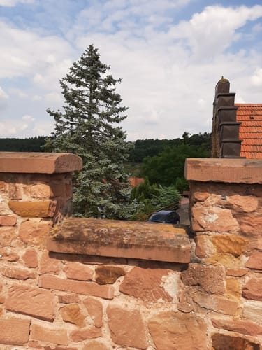 Burgruine Stauf Rundweg