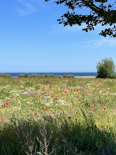 Rundweg Ostseebad Kühlungsborn