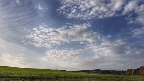 Rundwanderweg Würzberg 2: Mangelsbach-Weg