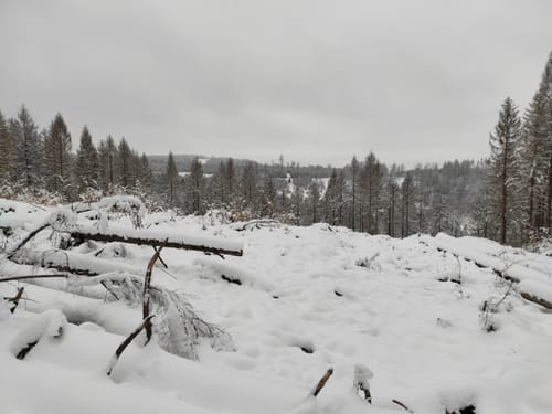 Um Hohhard und Krähenberg