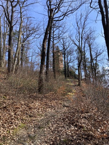 Greiz: Sophienkreuz - Pulverturm - Oberes Schloss