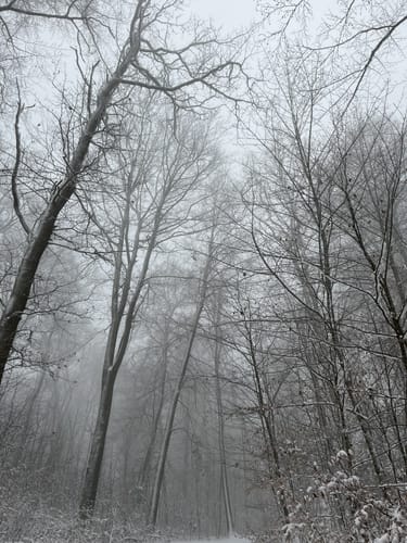 Um den Kalvarienberg mit Blick auf Kallenhardt
