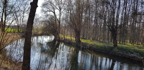 An der Donau von Lauingen nach Offingen