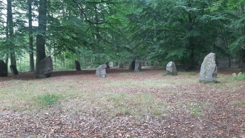 Warnow - Boitiner Steintanz