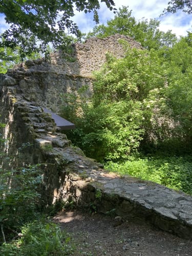 Marienthal nach Hirschling