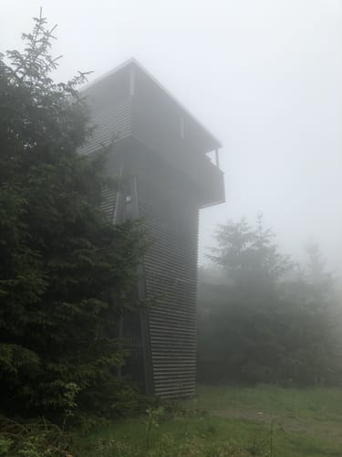 Rennsteig Etappe 3: Ebertswiese -  Grenzadler