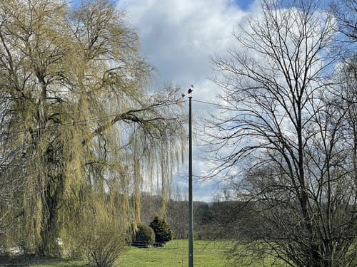 Rund ums Hornbachtal