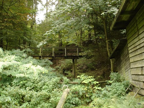 Rundwanderweg 3 Bad Nenndorf