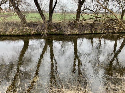 Rund um den Kronthaler Weiher