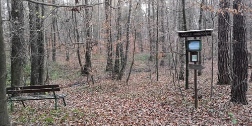 Ab Dahlen durch die Dahlener Heide