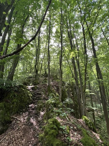 Illschwang zum Osterloch